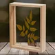 With_Leaf_Rect_8x12in__Desi Rang