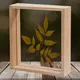 With_Leaf_Sqr_12x12in__Desi Rang