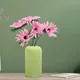 Mint__Lasaki