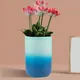 Multicolor__Lasaki