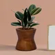 Antique__Lasaki