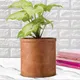 Antique__Lasaki