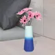 Multicolor__Lasaki