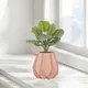 Pink__Lasaki