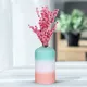 Multicolor__Lasaki