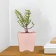 Pink__Lasaki