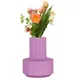 Purple__Lasaki