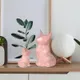 Pink__Lasaki