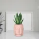 Pink__Lasaki