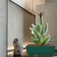 Multicolor__Lasaki