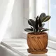 Antique__Lasaki