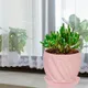 Pink__Lasaki