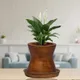 Antique__Lasaki
