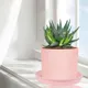 Pink__Lasaki