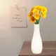 Cream__Lasaki