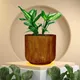 Antique__Lasaki