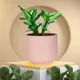 Pink__Lasaki