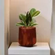 Antique__Lasaki