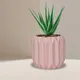 Pink__Lasaki