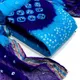 Firoji & Blue__KT BANDHANI