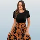 Orange__GALA QUEEN