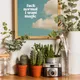 Wooden Framed__TUSHAR FRAMES