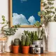 Wooden Framed__TUSHAR FRAMES