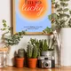 Wooden Framed__TUSHAR FRAMES