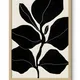 Wooden Framed__TUSHAR FRAMES