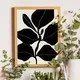 Wooden Framed__TUSHAR FRAMES