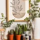 Wooden Framed__TUSHAR FRAMES