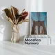 White Framed__TUSHAR FRAMES