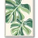 White Framed__TUSHAR FRAMES