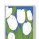 White Framed__TUSHAR FRAMES