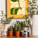 Wooden Framed__TUSHAR FRAMES