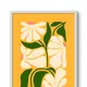 White Framed__TUSHAR FRAMES