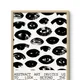 Wooden Framed__TUSHAR FRAMES