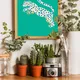 Wooden Framed__TUSHAR FRAMES