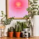 Wooden Framed__TUSHAR FRAMES