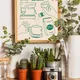 Wooden Framed__TUSHAR FRAMES