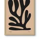 Wooden Framed__TUSHAR FRAMES