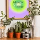 Wooden Framed__TUSHAR FRAMES