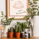 Wooden Framed__TUSHAR FRAMES