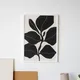 White Framed__TUSHAR FRAMES