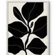 White Framed__TUSHAR FRAMES