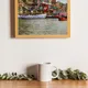 Wooden Framed__TUSHAR FRAMES