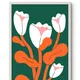 White Framed__TUSHAR FRAMES