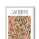 White Framed__TUSHAR FRAMES