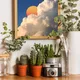 Wooden Framed__TUSHAR FRAMES