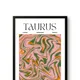 Black Framed__TUSHAR FRAMES